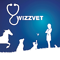 Logo Wizzvet